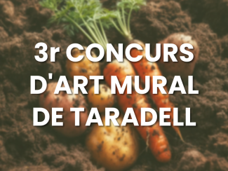Taradell - Convocat el Concurs d'Art Mural 2024, que arriba a la tercera edició