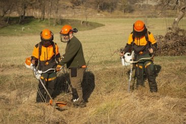 Taradell - Obertes les preinscripcions del PFI-PTT d’Auxiliar d’Activitats Forestals per al curs 2025-2026
