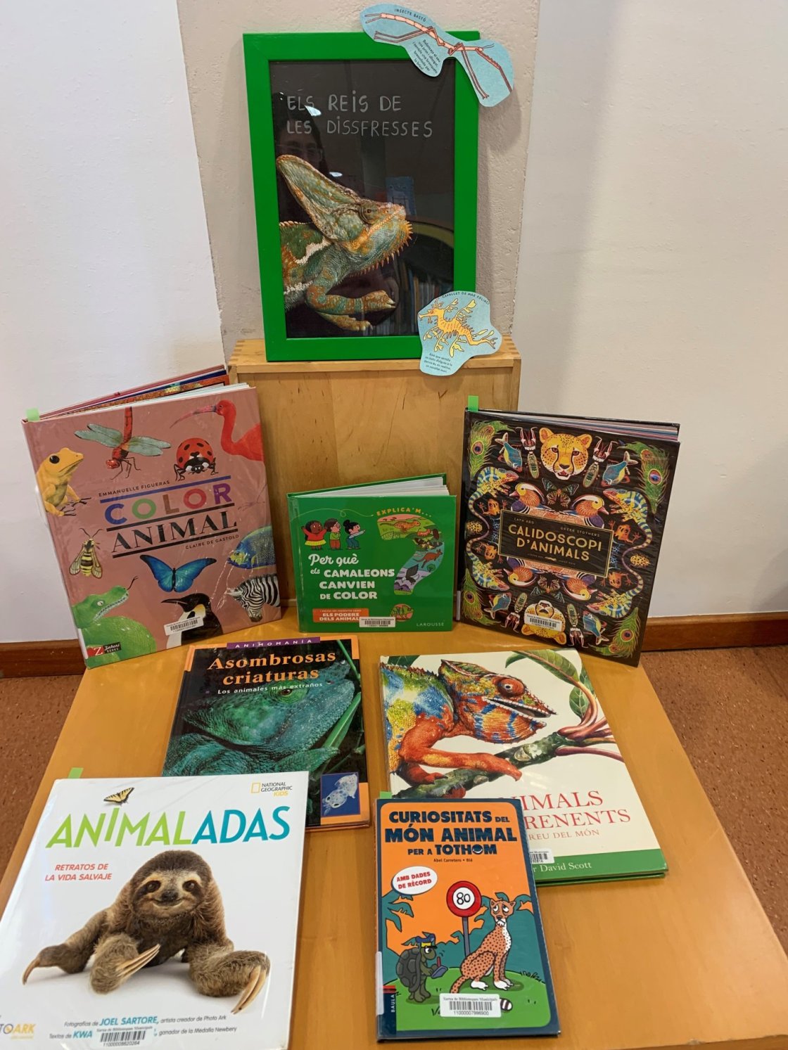 26 01 2024 Disfresses animals 26 01 2024 Disfresses animals