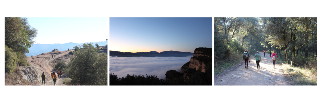 Diseny Rupit Taradell Diseny Rupit Taradell