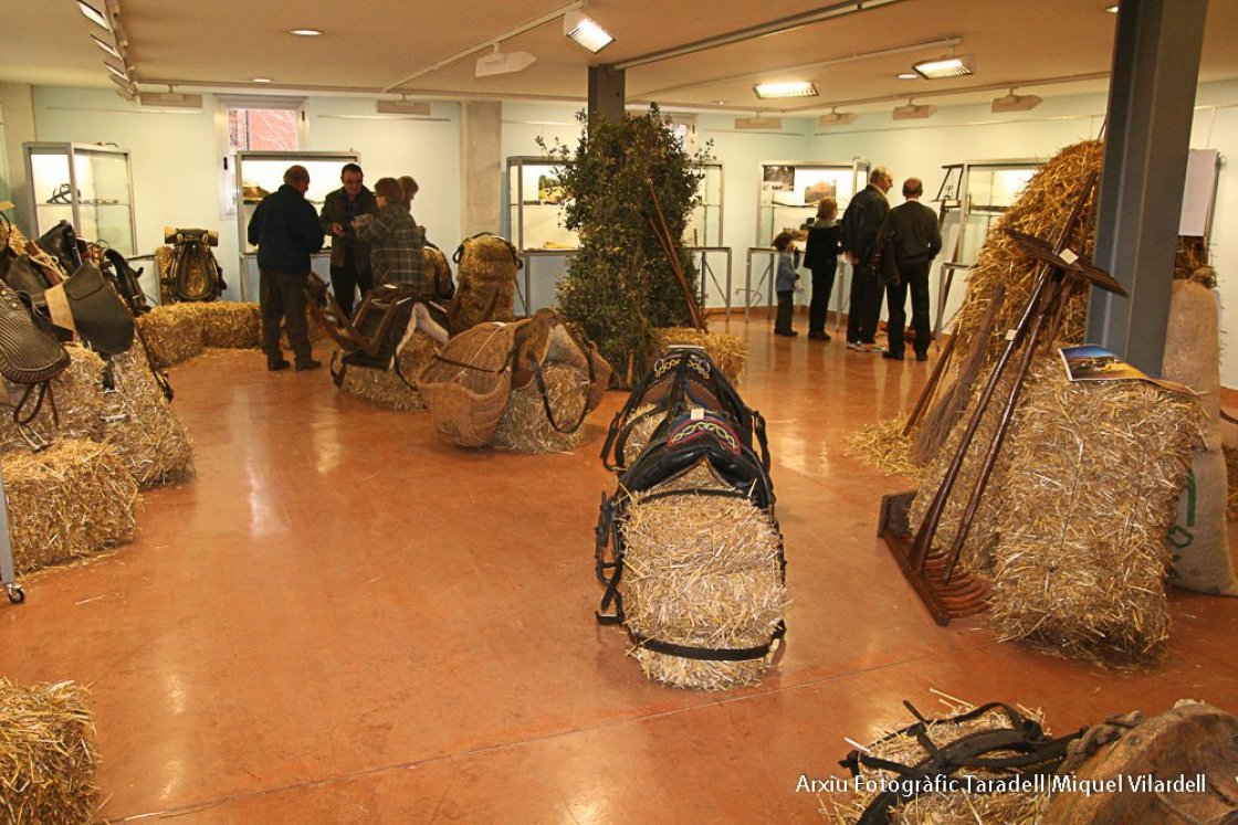 Exposició al Centre Cultural Costa i Font