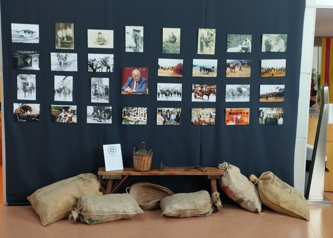 Expo Joan del Colomer - centenari naixement Expo Joan del Colomer - centenari naixement