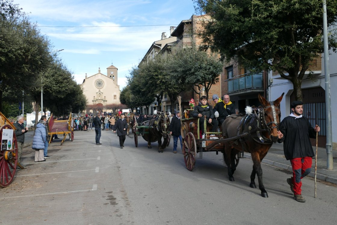 Tonis 2024 passant (113) Tonis 2024 passant (113)