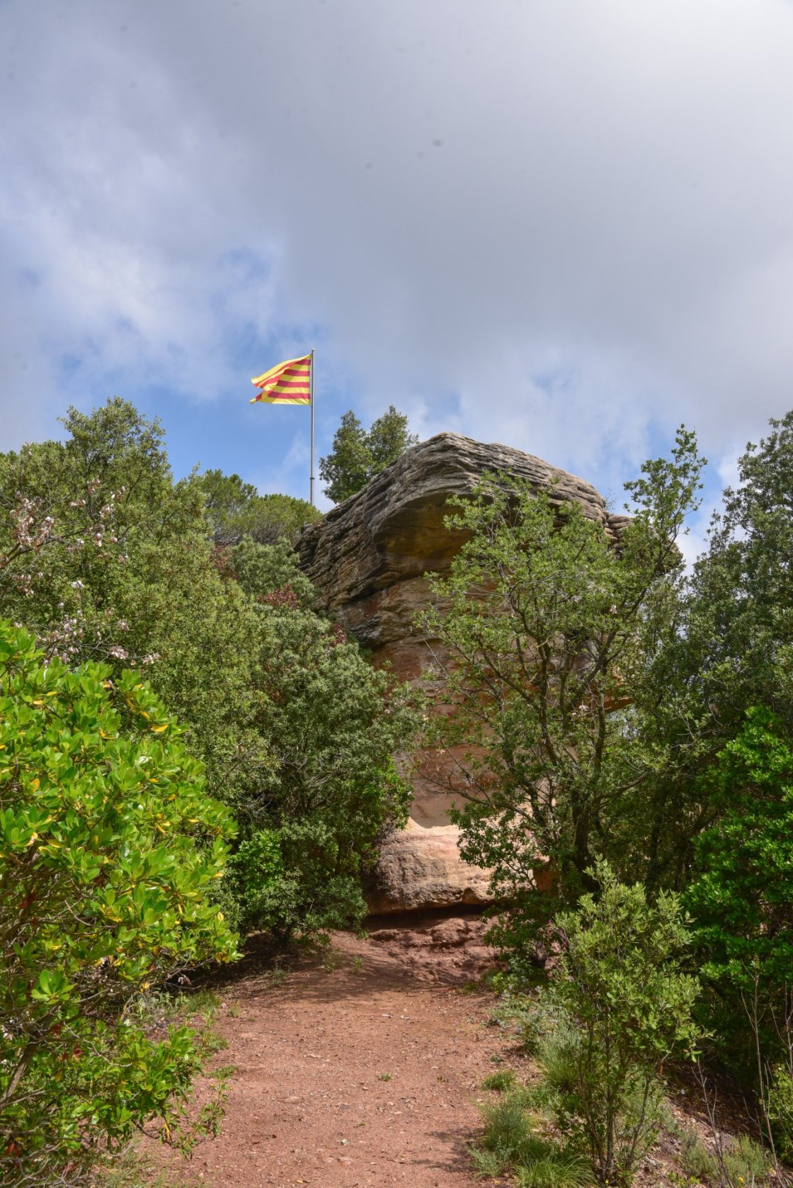 Expo Sender Pep Bosch (9)