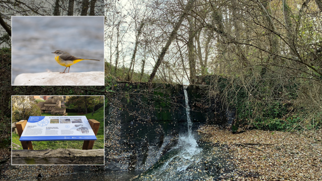 ruta de l\'aigua ruta de l\'aigua