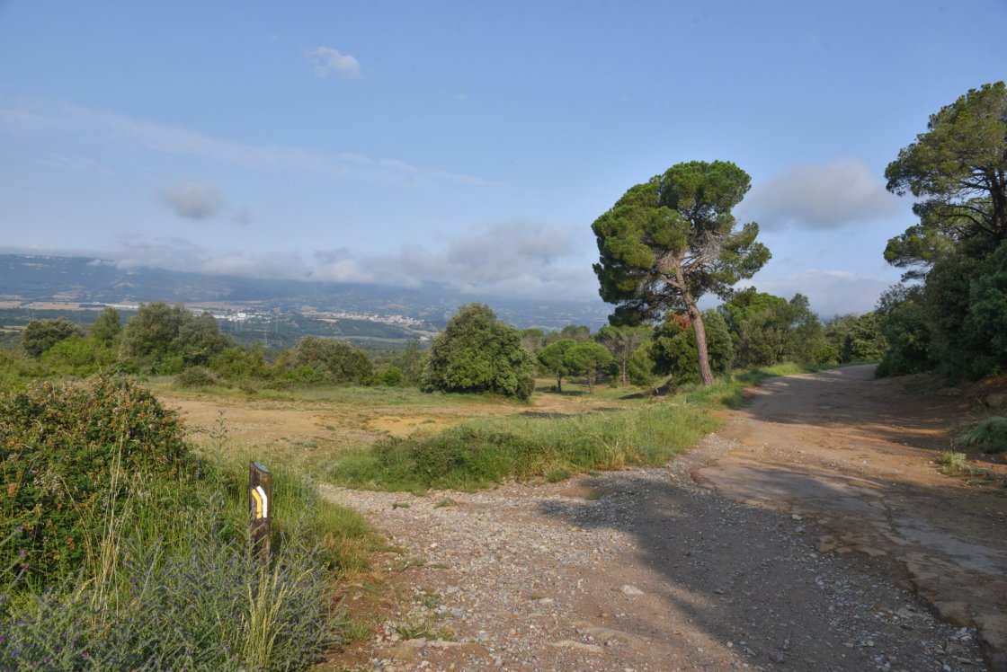 Expo Sender Pep Bosch (3)