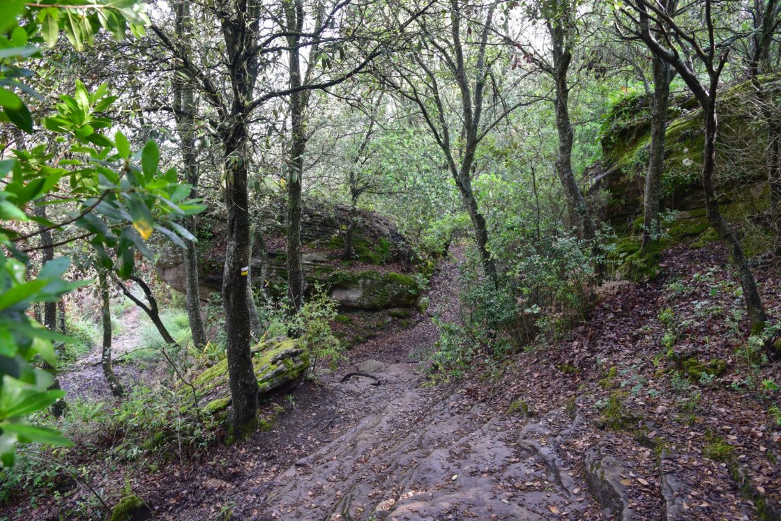 Expo Sender Pep Bosch (4)