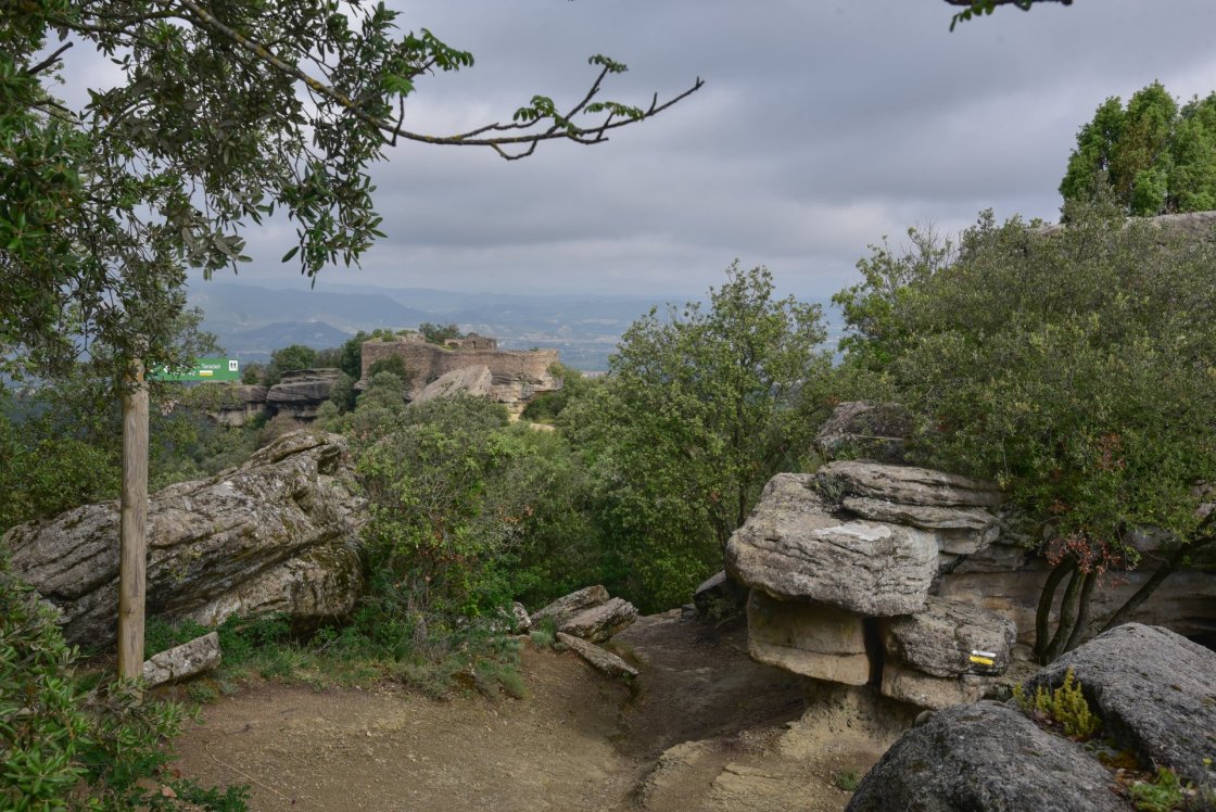 Expo Sender Pep Bosch (5)