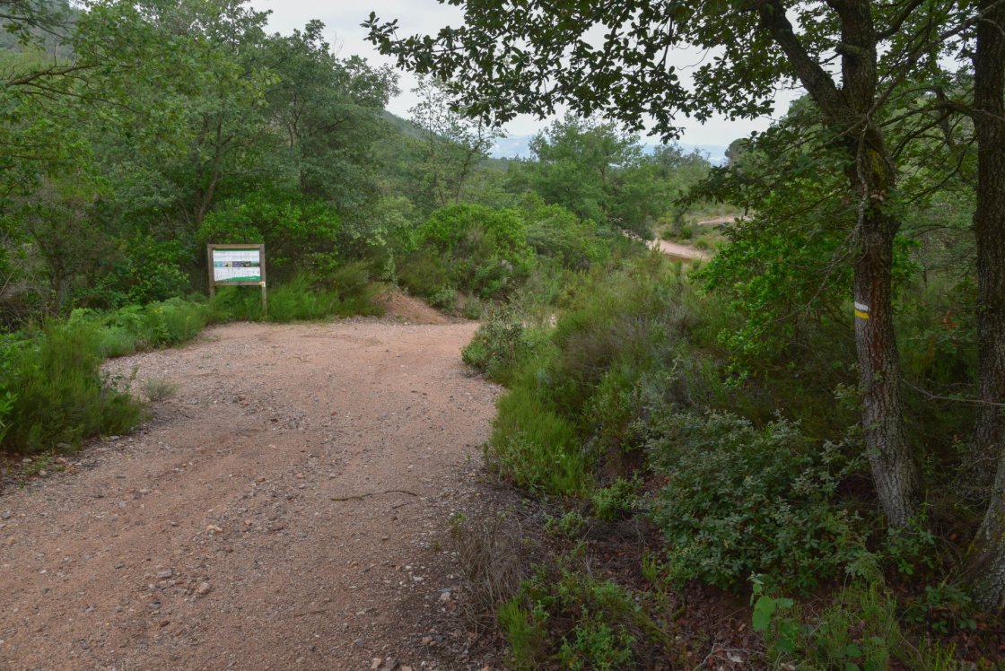 Expo Sender Pep Bosch (6)