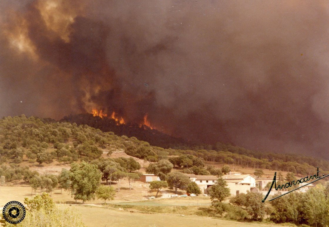 Incendi 1983 (1)