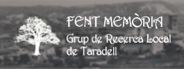 Banner Grup de Recerca Local 