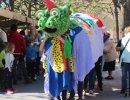 Tota la programació de Sant Jordi a Taradell!