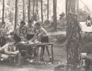 “Podríem ser boyscouts?” L'inici de l'Agrupament Rocaguinarda de Taradell en un documental “Podríem ser boyscouts?” L'inici de l'Agrupament Rocaguinarda de Taradell en un documental