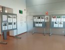 Exposició: 'Dones esportistes' 