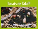 'Tocats de l'ala' a l'Hora del Conte del mes de gener