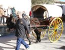 Els Tonis fan reviure el patrimoni rural a Taradell