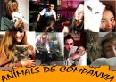 ‘Animals de companyia’ entre bambolines i lliurament de premis del concurs d'Art Jove de Taradell ‘Animals de companyia’ entre bambolines i lliurament de premis del concurs d'Art Jove de Taradell