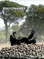 pinyonaires pinyonaires