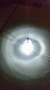 150607_Premi_Ciència_1rCI-168x300.jpg 150607_Premi_Ciència_1rCI-168x300.jpg