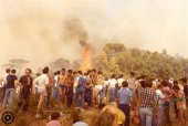 Incendi 1983 (3)