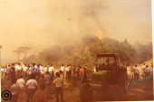 Incendi 1983 (4)