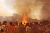 Incendi 1983 (6)