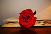Sant Jordi Sant Jordi
