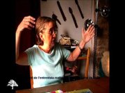 El primer record de Taradell