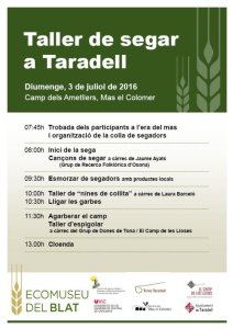 160629_taller_segar.jpg 160629_taller_segar.jpg