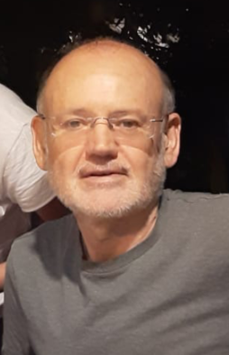 Lluís Anton Baulenas