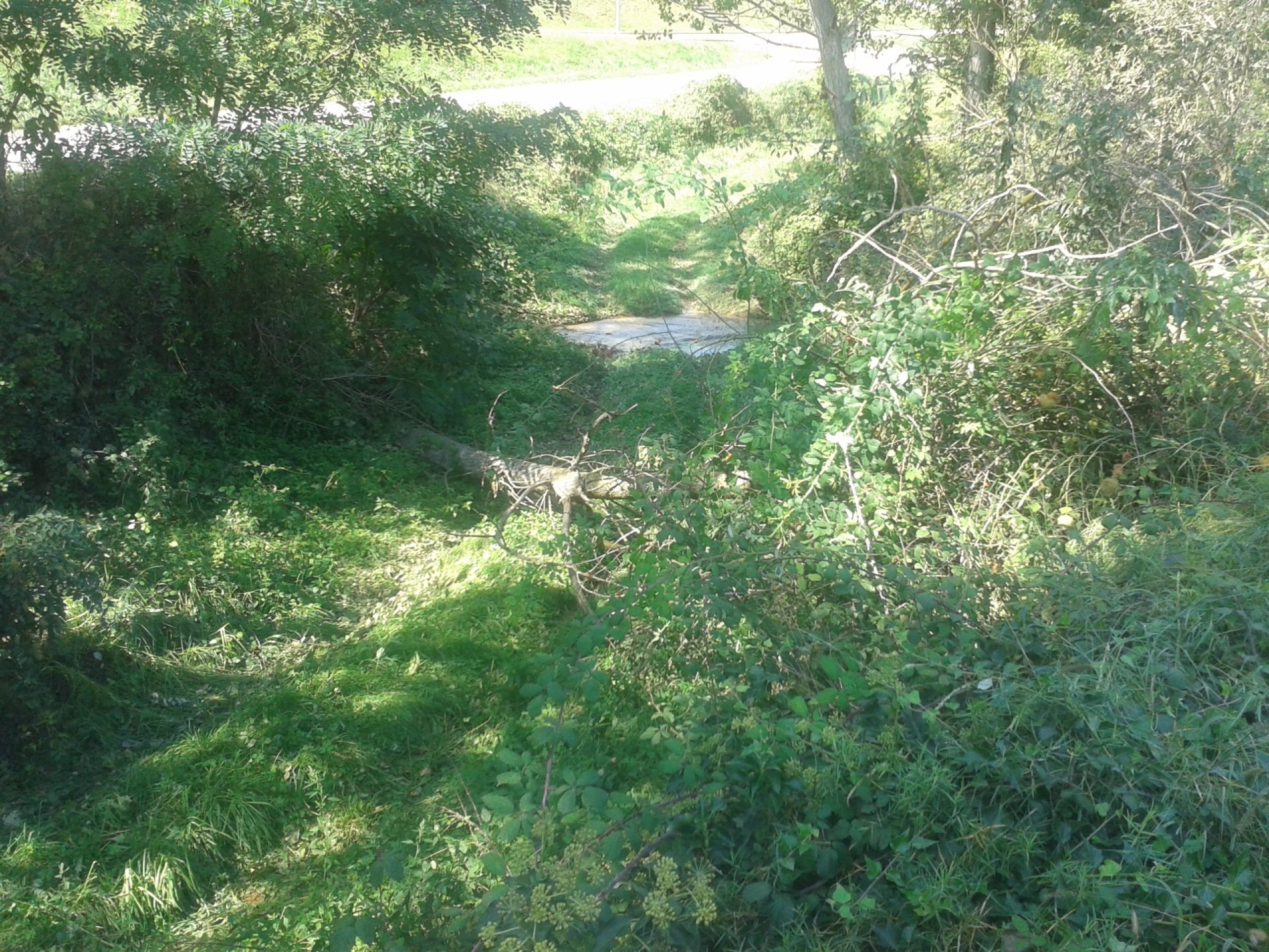 20140915_142815.jpg 20140915_142815.jpg