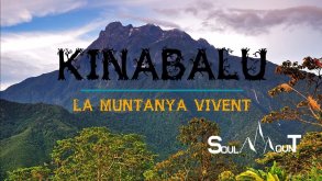CET_Kinabalu (Borneo): la Muntanya vivent 