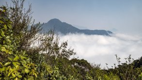 De Vietnam a Cambodja. Parareda i aregall