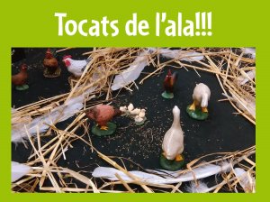 HC Tocats de l\'ala