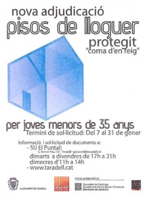 Cartell pisos joves Cartell pisos joves