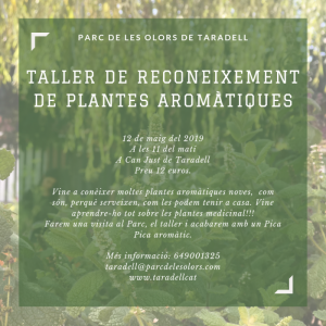 Taller reconeixement plantes aromàtiques _ Ràdio Taradell