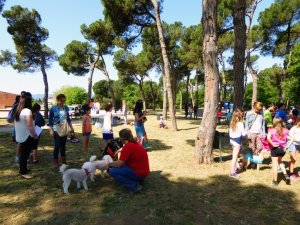 150513_Festa_Civisme_2015-2.jpg 150513_Festa_Civisme_2015-2.jpg