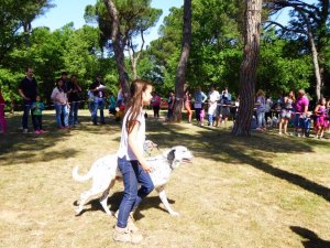 150513_Festa_Civisme_2015-4.jpg 150513_Festa_Civisme_2015-4.jpg