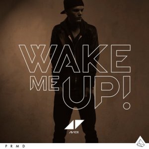 AVICII-Wake-me-up.jpg