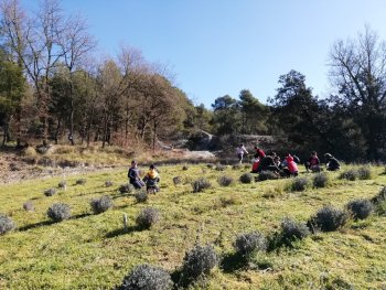 Parc de les Olors - Tallers 3