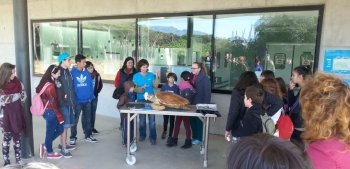 AMPA Institut Taradell