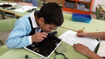 Compostatge escolar - Escola Les Pinediques - Servei educació ambiental