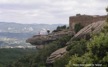 Castell de Taradell Castell de Taradell