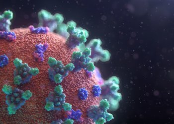 Repunt de casos de coronavirus a Taradell