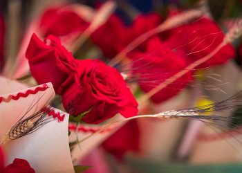 L'agenda de Sant Jordi a Taradell