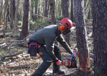 La Mancomunitat engega un programa de formació i inserció d’activitats forestals