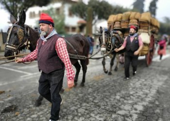 En marxa un concurs d'Instagram amb motiu de la Festa dels Tonis de Taradell