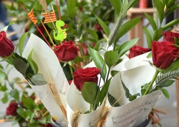 La Biblioteca organitza diverses activitats per celebrar el Sant Jordi d'estiu