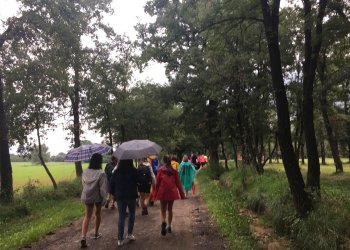 Taradell tornarà a participar divendres a la Marxa dels Vigatans Taradell tornarà a participar divendres a la Marxa dels Vigatans