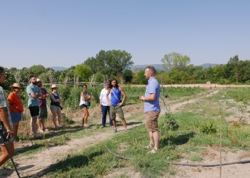 El Mas Bellpuig, seu d'una jornada pel relleu generacional al món rural